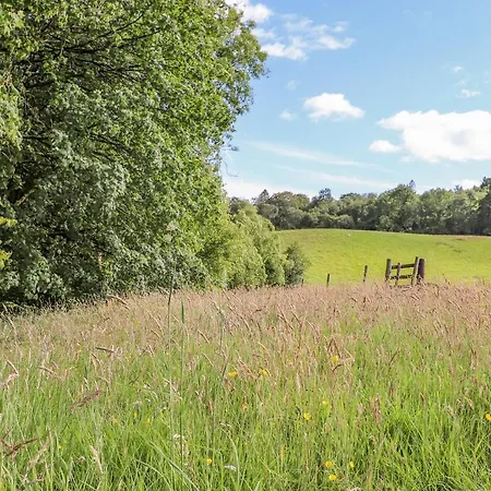 The Owl's Shack Κένταλ